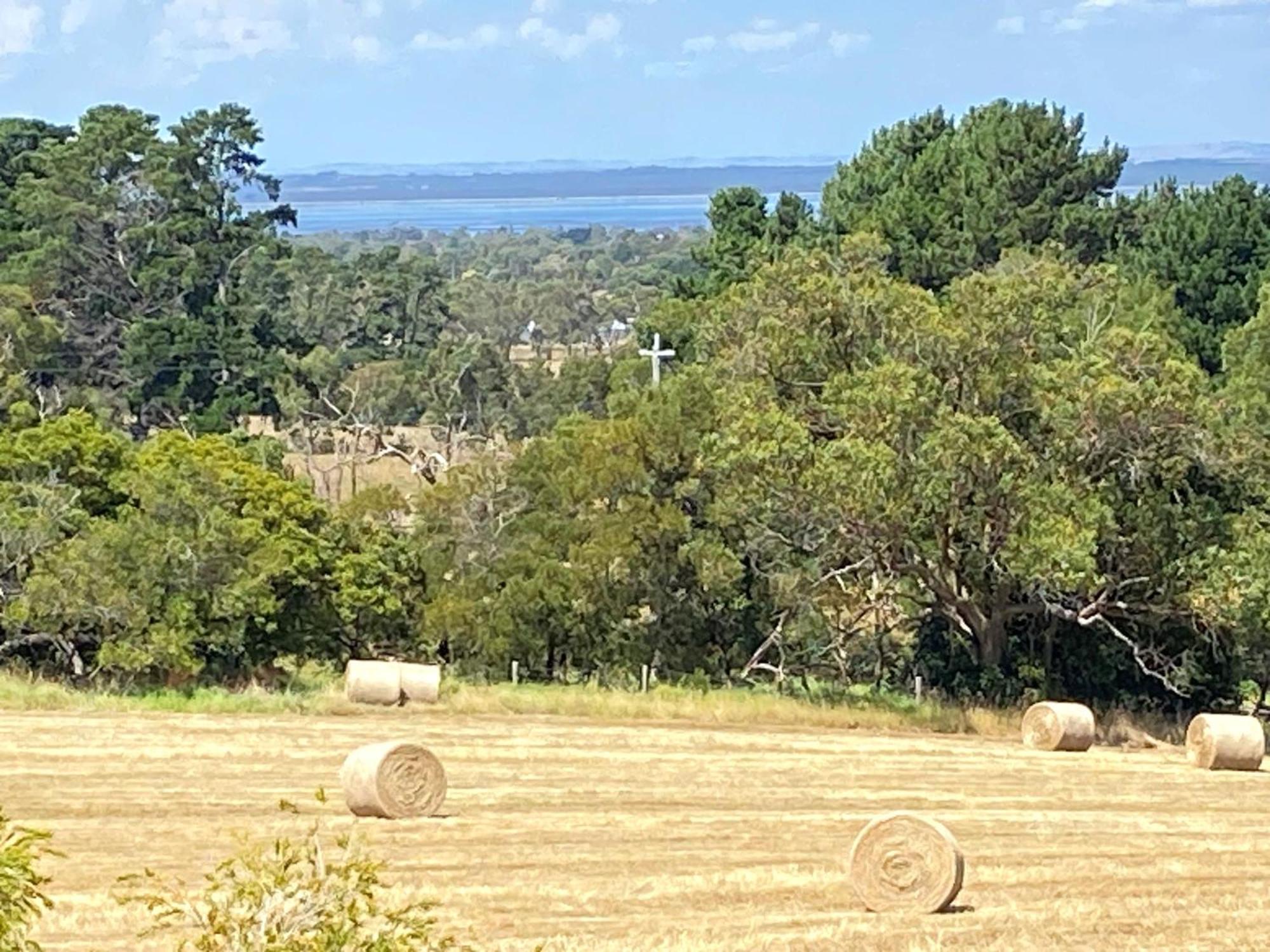 In The Heart Of Wine Country, 10 Minutes To Hastings