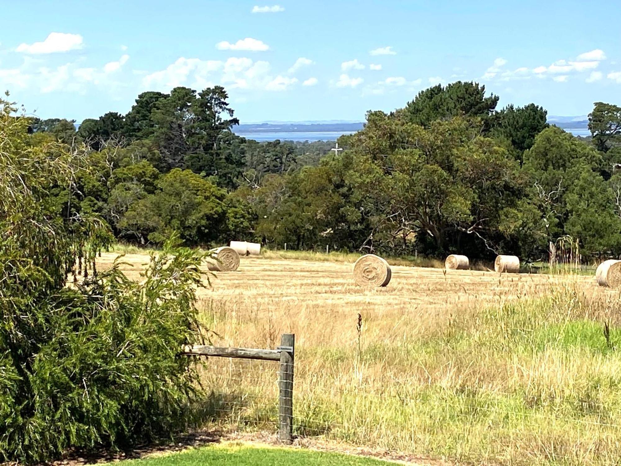 In The Heart Of Wine Country, 10 Minutes To